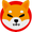Shiba-inu